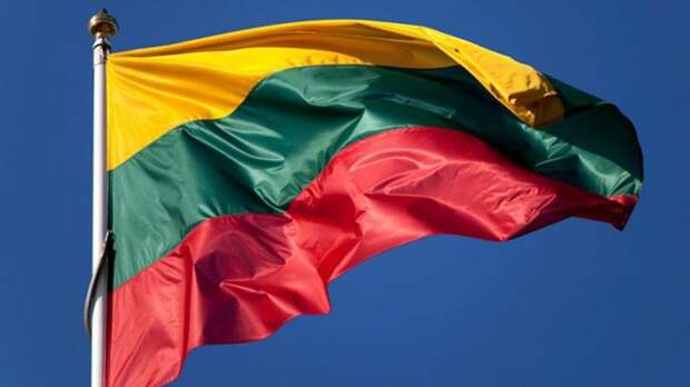 Литва обратилась к России с просьбой о помощи