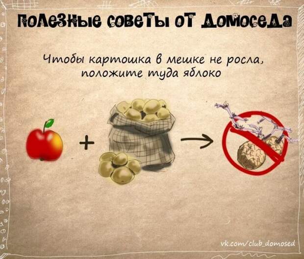 Полезные советы