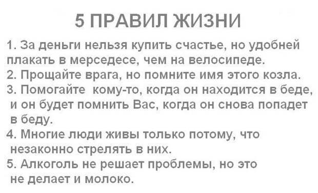 Весёлые комментарии, фото, картинки и прочее