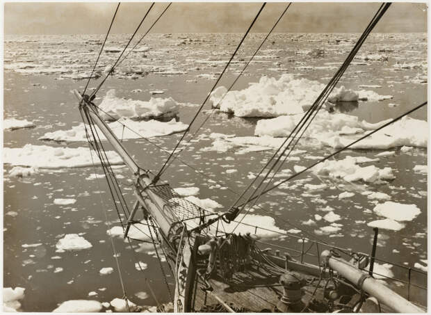 Первая Австралийская антарктическая экспедиция в фотографиях Фрэнка Хёрли 1911-1914 42