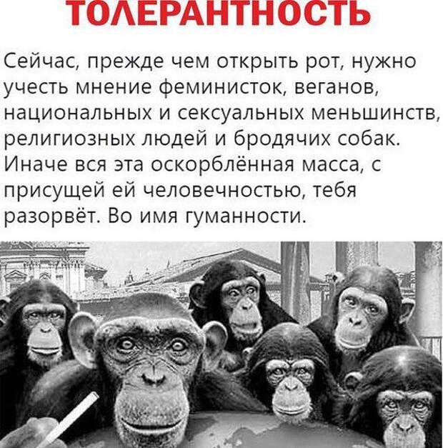 image?id=866724743568&t=3&plc=WEB&tkn=*K