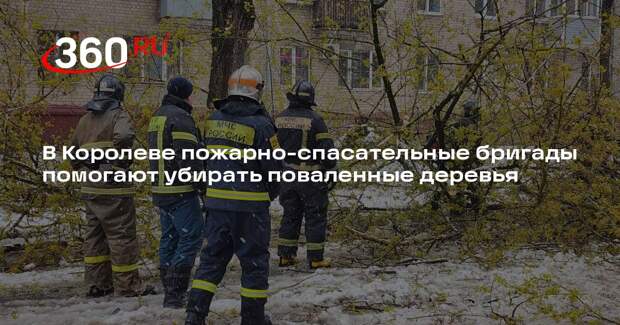 В Королеве пожарно-спасательные бригады помогают убирать поваленные деревья