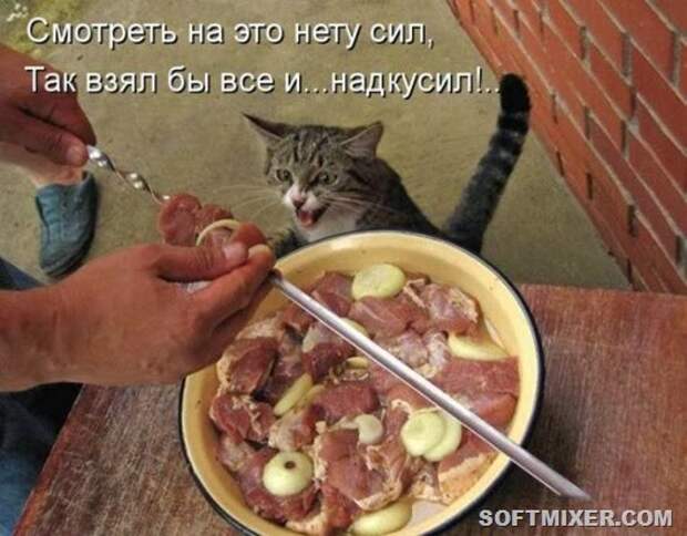 fe35c25ab69778eb1b9737d87b8_prev