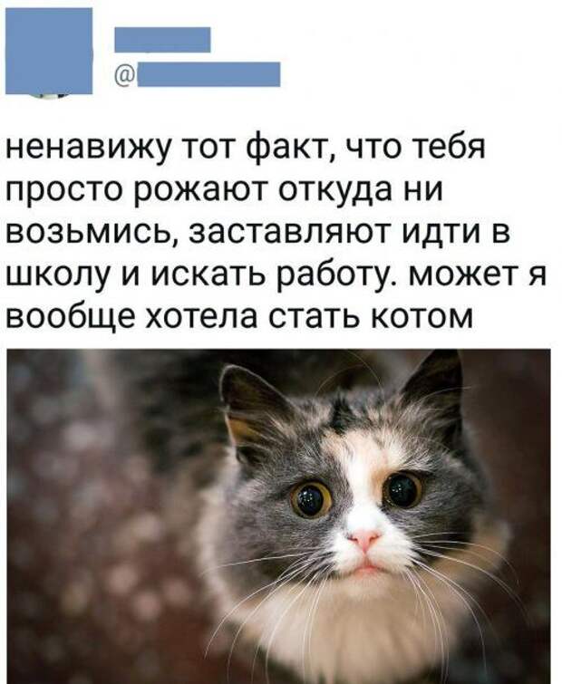 1576888302_kartinki-27.jpg
