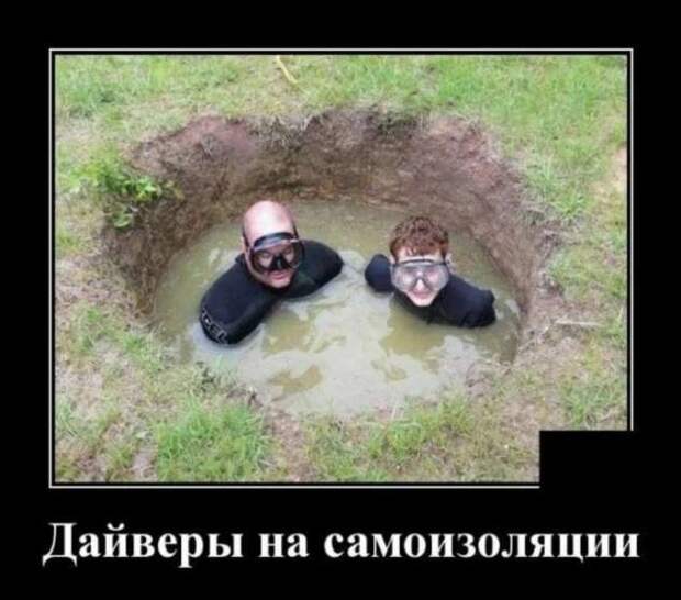 Прикольные демотиваторы с надписями. Подборка chert-poberi-dem-chert-poberi-dem-40080424072020-12 картинка chert-poberi-dem-40080424072020-12