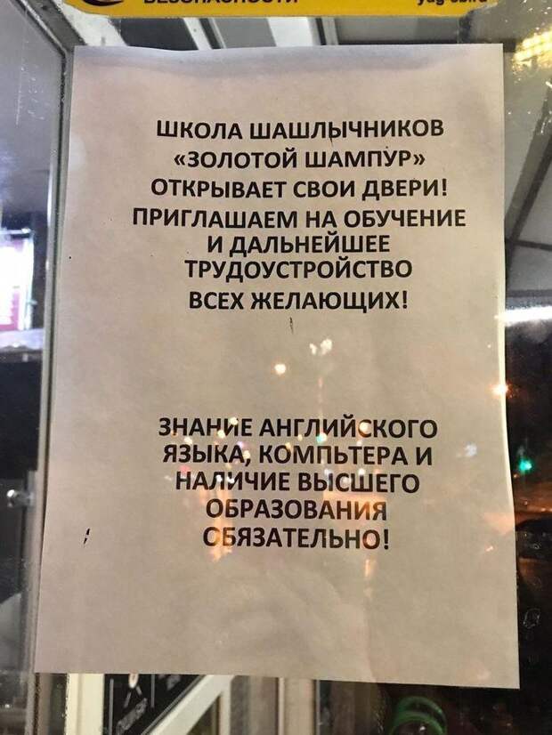 Золотой шампур подборка, прикол, собеседования, трудоустройство, юмор