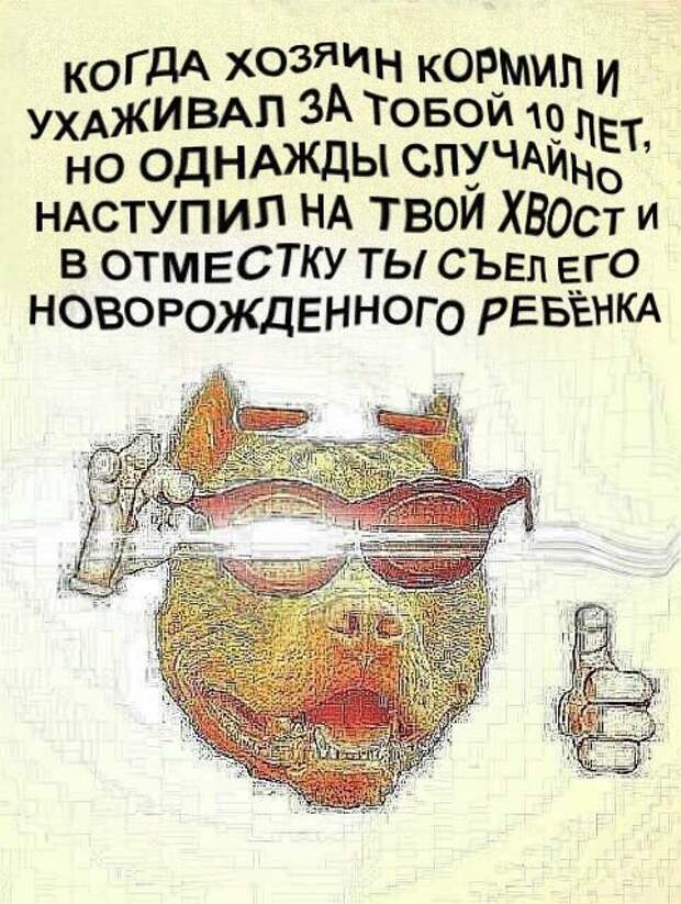 Нестандартный юмор
