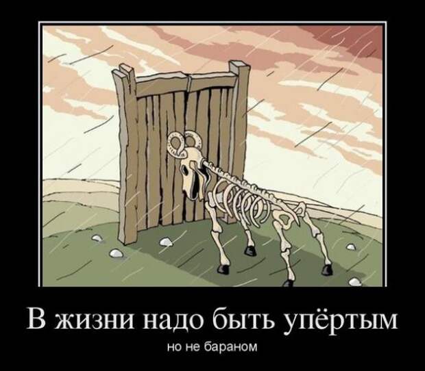 Демотиваторы " 101 %" 20/04/12