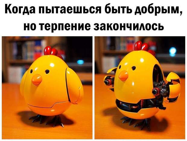Прикольные и забавные картинки с надписью из жизни (10 фото) Прикольные и забавные картинки с надписью из жизни (10 фото)