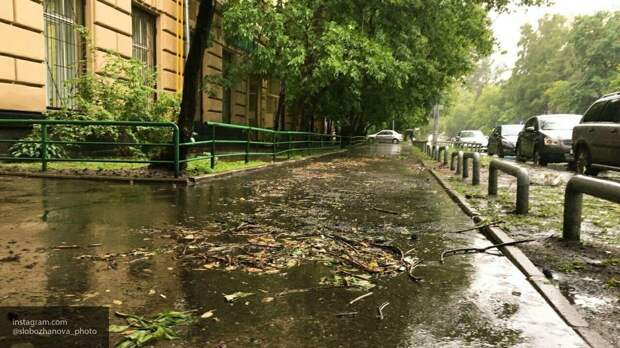 Синоптики раскрыли дату окончания дождей в Москве