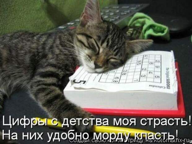 Котоматрицы (картинки с надписями)