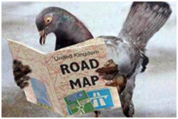 Самая четкая и научно оформленная на сегодняшний день версия о том, как голуби находят дорогу - инфразвук голубиная почта, интересное, история, факты
