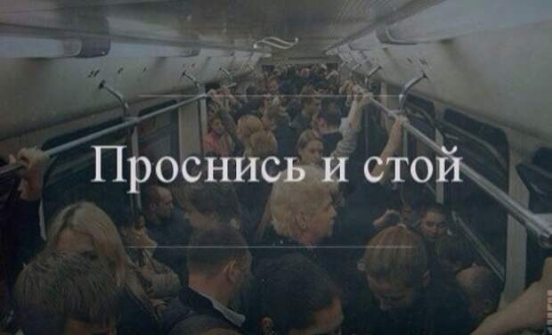 Прикольные картинки выходного дня (50 шт)