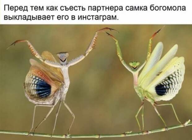www.vsyako.net