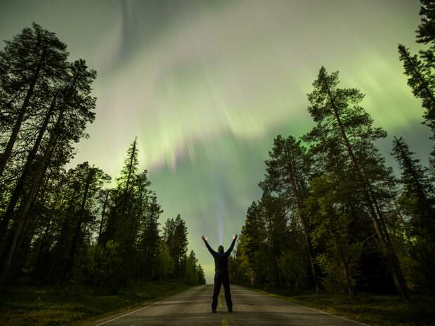 10. Северное сияние в Лапландии интересно, лучшие фото года, факты, фото, фотография года, цепляет