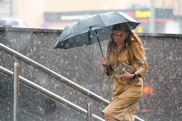 Синоптик Позднякова: 13 июня в Москве ожидаются дожди