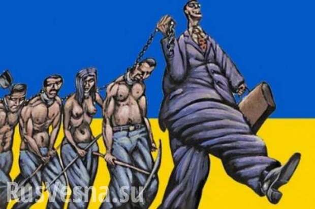 Американцы сказали: «Нет — украинской экономике!» (ВИДЕО) | Русская весна