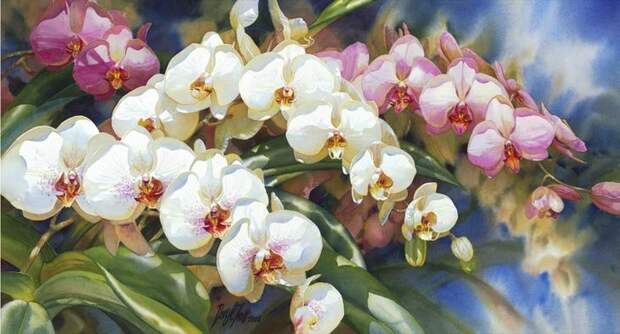 Цветы, акварель.Художник Darryl Trott