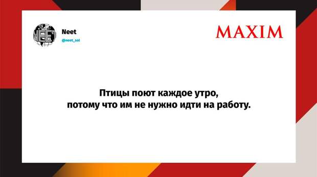 Самые смешные шутки среды и «воронка пропаж»