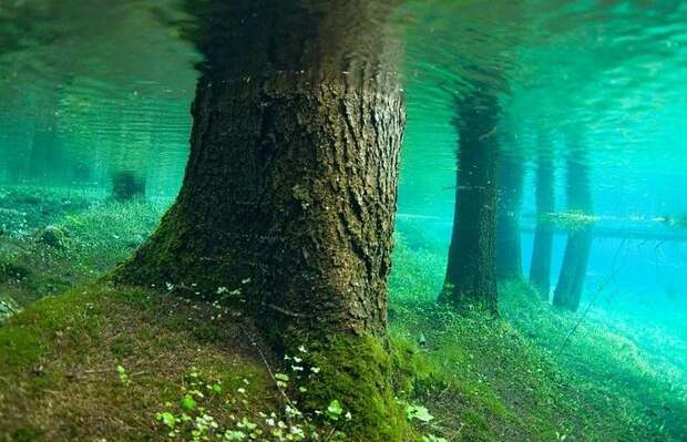 Зелёное озеро (Gruner See), Трагос, Австрия