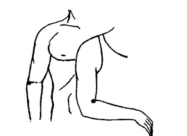 pic9 (450x327, 40Kb)