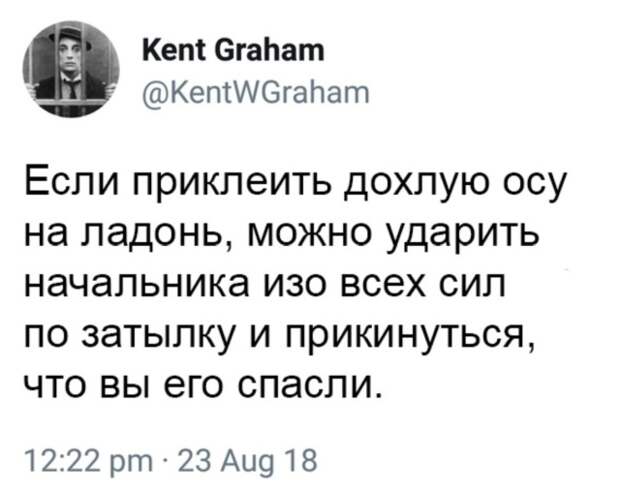 Подборка картинок (20 фото)