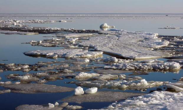 Геосервис «Ледовая обстановка»: мониторинг ледохода на Ямале доступен онлайн