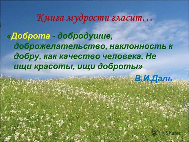 Не ищи красоты, а ищи доброты, не ищи доброты ищи красоты. Не ищи красоты, а ищи доброты, не ищи доброты ищи красоты.