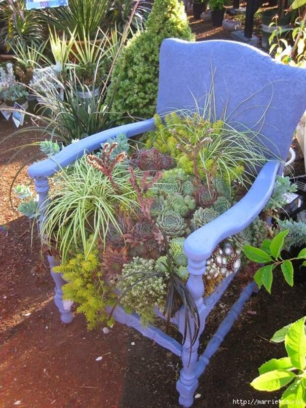 Старые стулья для украшения сада. Идеи (4) (525x700, 390Kb)
