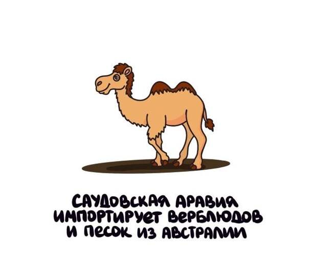 Короткие интересные факты на все случаи жизни