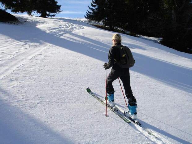 Зимний досуг, лыжи, спорт. Фото: pixabay.com
