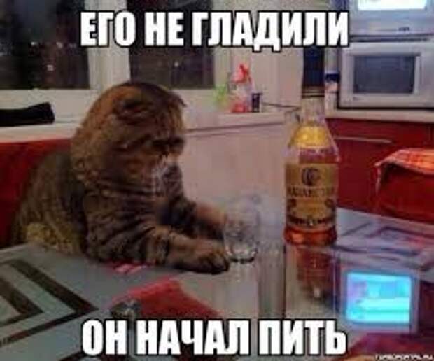 Похожее изображение