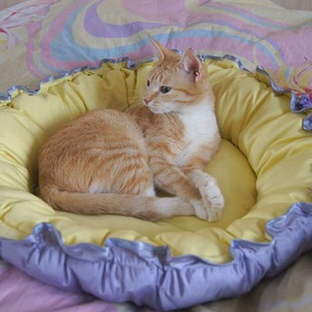 домики для кошек