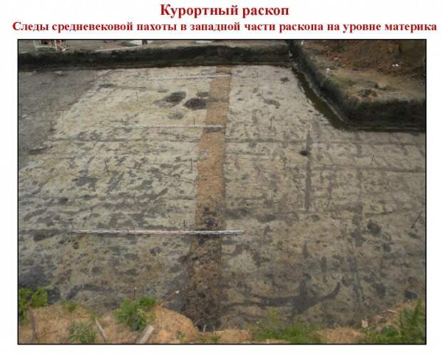 11 Сатрая Русса 03 следы пахоты 11 Сатрая Русса 03 следы пахоты