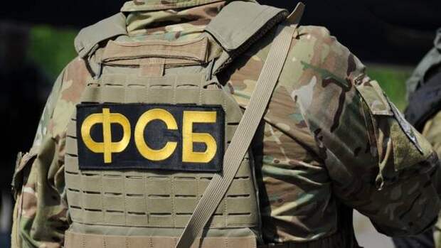 Силовики пресекли деятельность террористической ячейки во Владимирской области