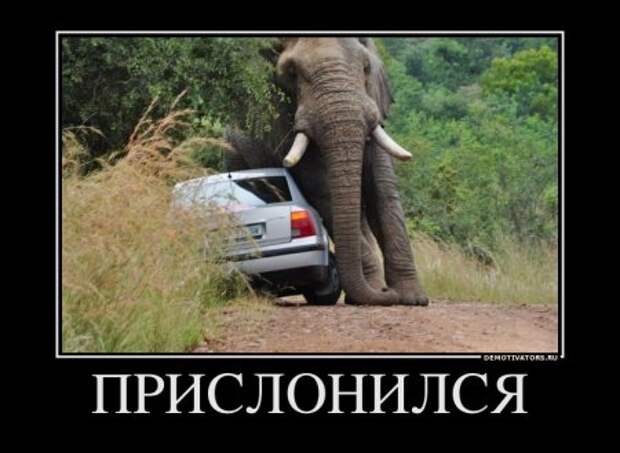 Демотиваторы