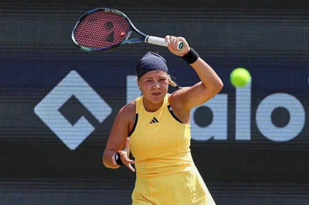 Российскую теннисистку Шнайдер задержали в США за превышение скорости