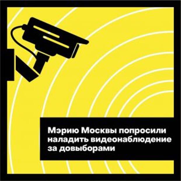 Представители Общественной палаты попросили мэрию установить камеры видеонаблюдения на УИК на довыборах