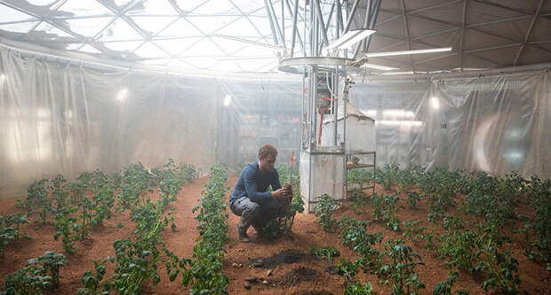 Можно ли вырастить картофель на Марсе как в фильме "Марсианин"?