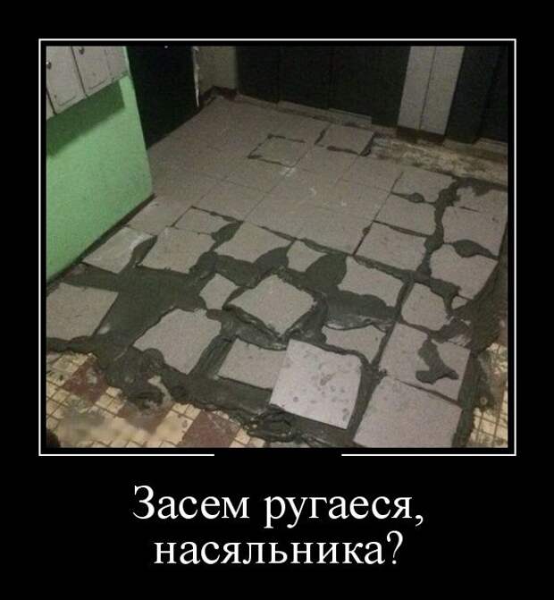 Демотиваторы (30 фото)