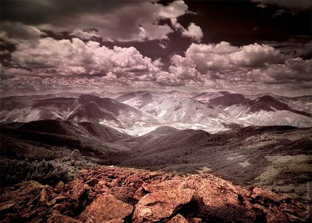 infrared13 infrared13 Инфракрасная фотография от Олега Григорьева