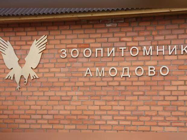 В зоопитомнике «Амодово» продолжается масштабная реконструкция
