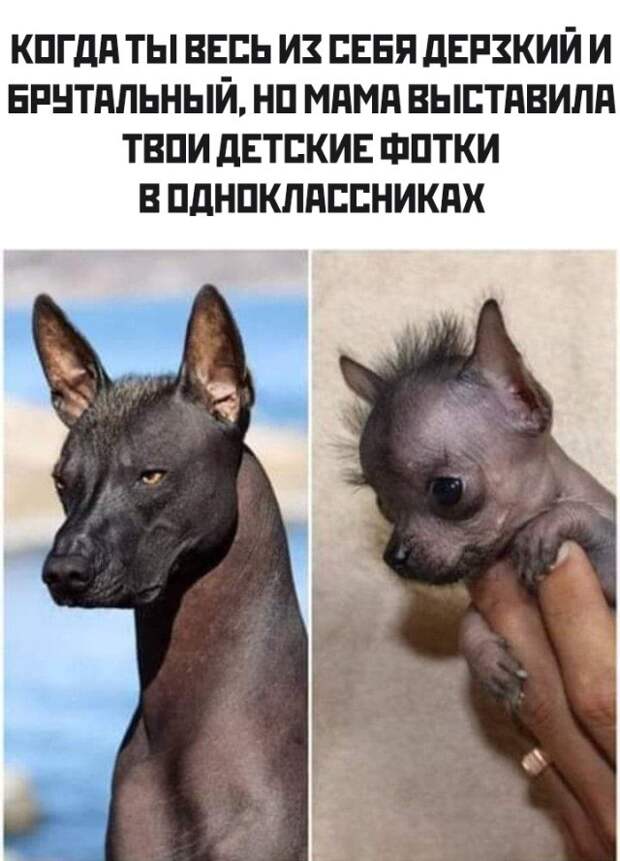 Смешные картинки вечер 11 марта