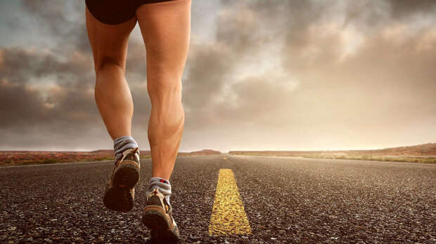 Жителям Подмосковья представили единую цифровую платформу для занятий спортом