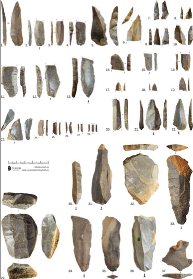 Изображение взято с сайта: https://journals.plos.org/plosone/article?id=10.1371/journal.pone.0265219