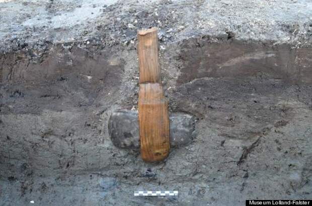 Stone Age Axe Discovered Stuck Into The Ground With Handle Still Attached