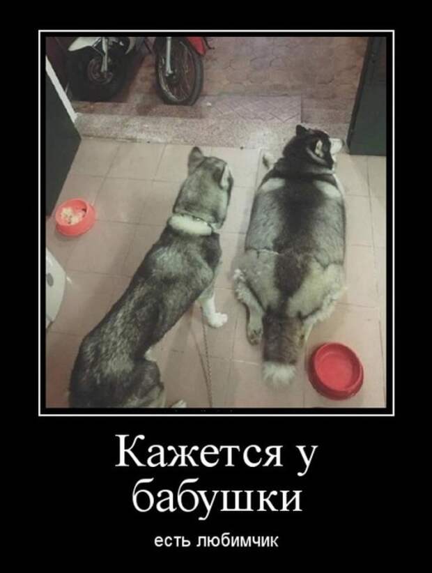 Демотиваторы (30 фото)