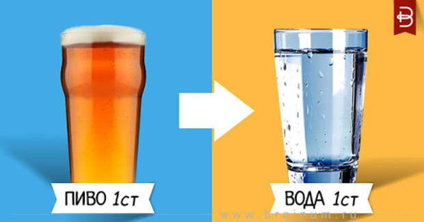 Каждый раз, когда вы пьете пиво, не забывайте пить такое же количество воды