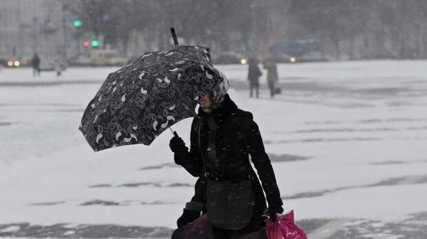 Декабрь стал в Петербурге самым холодным за последние 9 лет