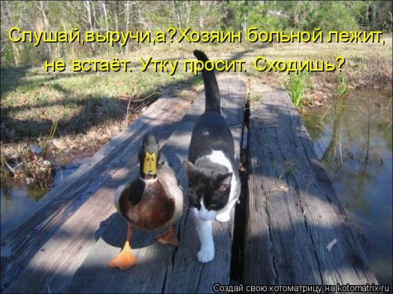 1359321468_96696249_large_1330447770__011 (570x427, 94Kb)
